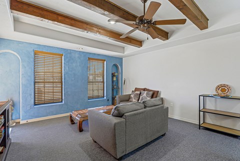 A living room with a grey couch and a ceiling fan.