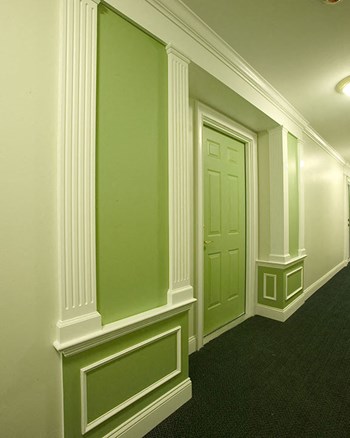 19 Isaacs Street 1 Bed Apartment for Rent - Photo Gallery 6