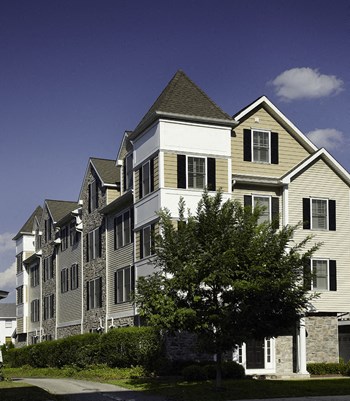 100 Best Apartments in Stamford, CT (with reviews) | RENTCafé