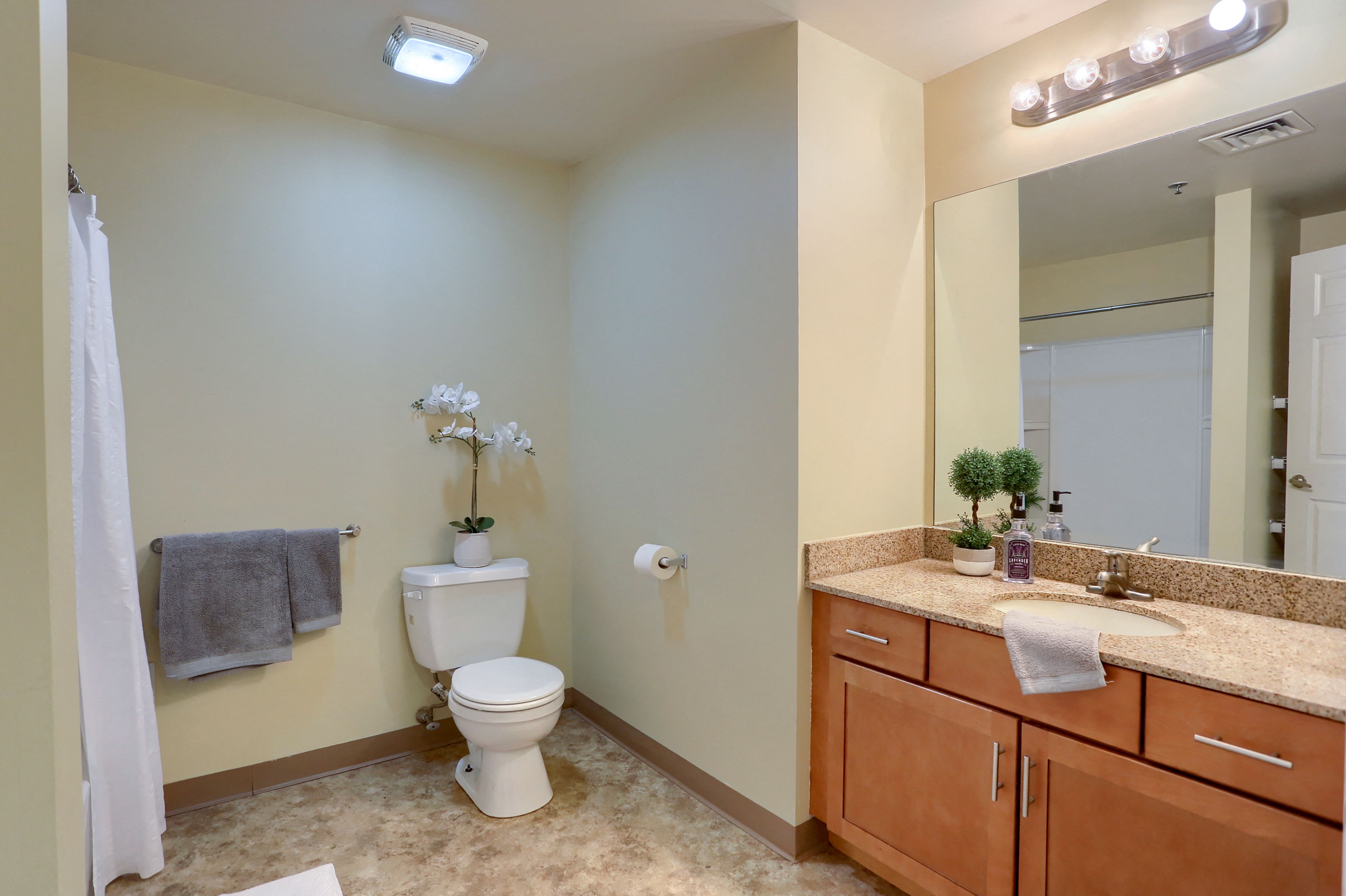 a bathroom with a toilet and a sink and a mirror