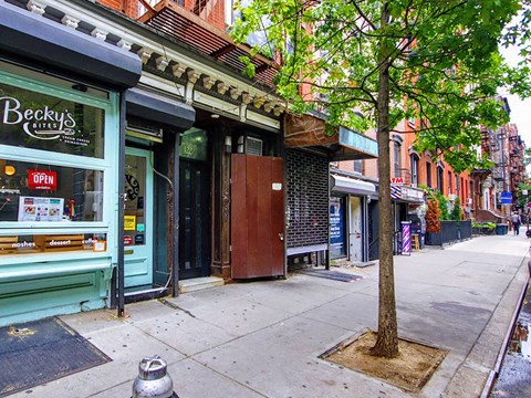 a tree on a sidewalk in front of shops on a city street