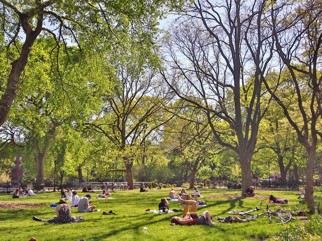 people lying on the grass in a park