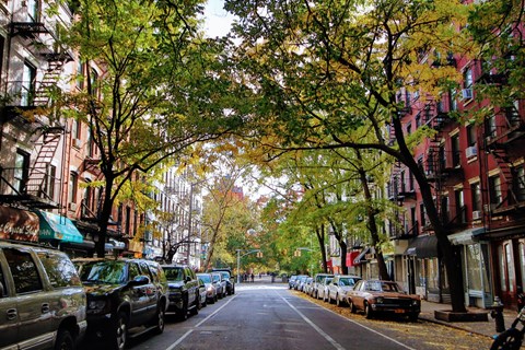 a city street in the fall with cars parked on the side