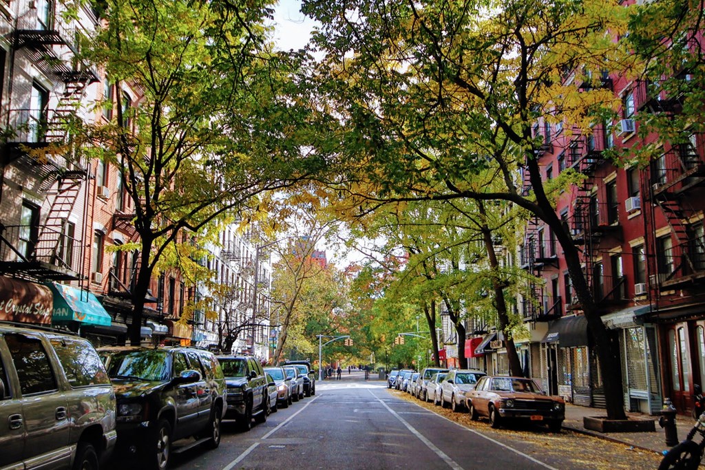 a city street in the fall with cars parked on the side