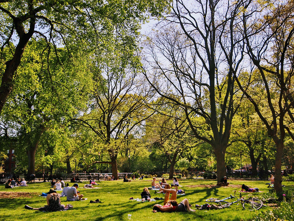people laying in the grass in a park