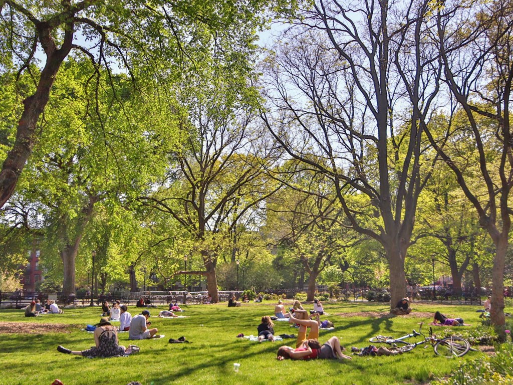 people sitting in the grass in a park