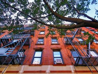 a red brick building with fire escapes and a tree