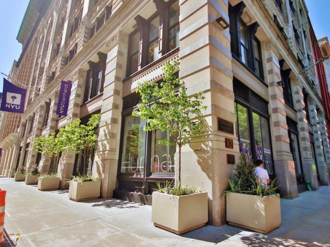a city street in front of a building with potted plants