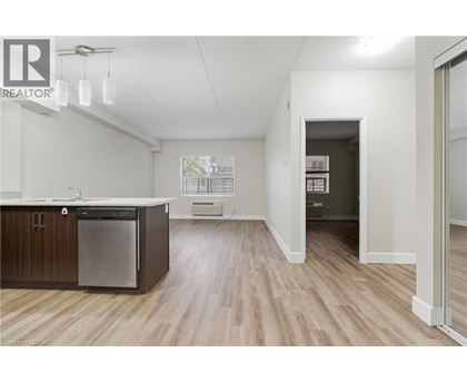A kitchen with a dishwasher and a refrigerator.