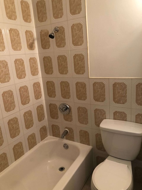 a bathroom with a toilet and a bath tub