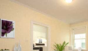 Kilsyth Manor Apartments - Brighton, MA 100 Kilsyth Road Studio-3 Beds Apartment for Rent - Photo Gallery 5