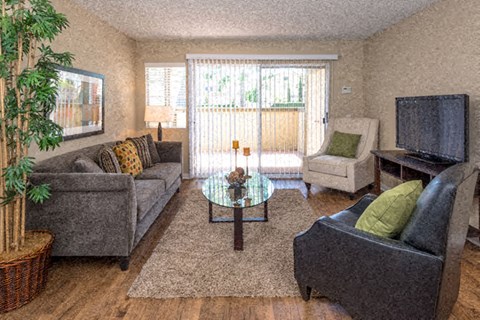a living room with couches a table and a television
