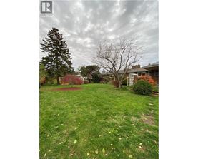 A grassy yard with a tree and a house in the background.