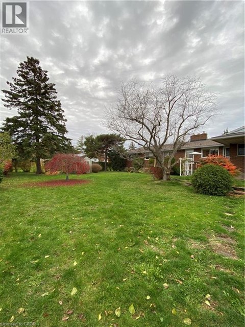 A grassy yard with a tree and a house in the background.
