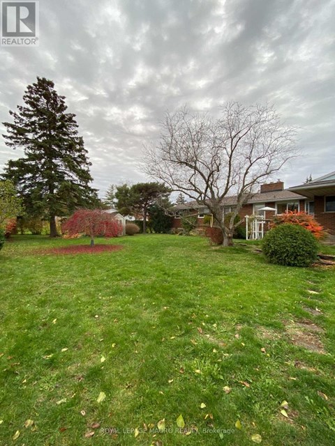 A grassy yard with a tree and a house in the background.