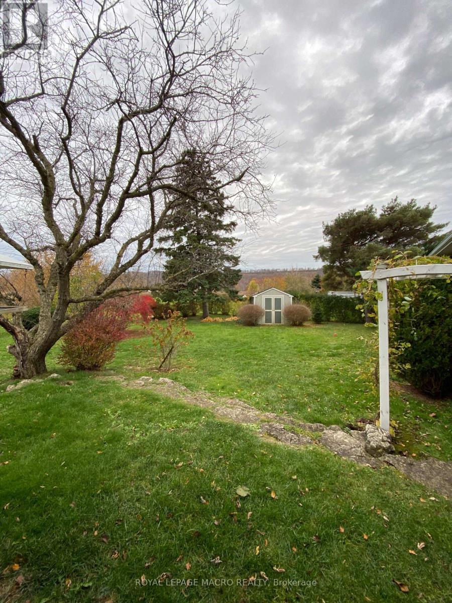 A tree with no leaves stands in a yard.
