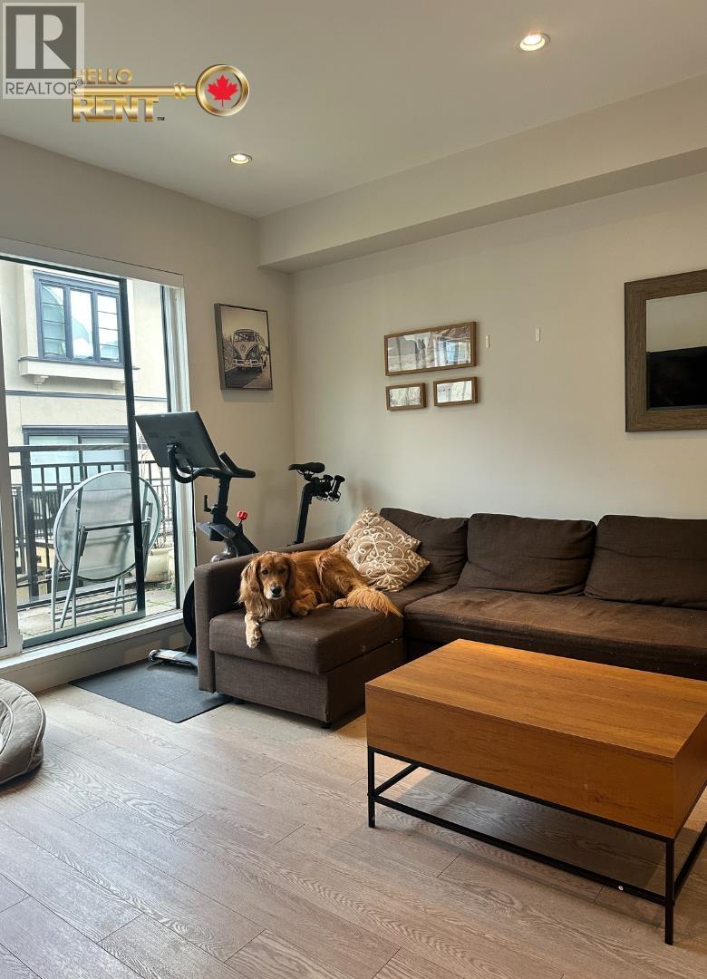 A dog is sitting on a grey couch in a living room.