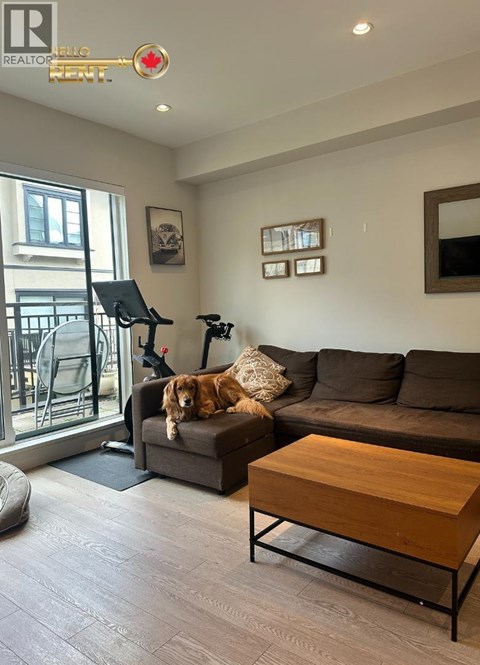 A dog is sitting on a grey couch in a living room.
