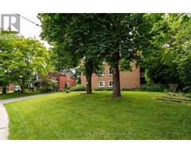A tree in a yard with a house in the background.