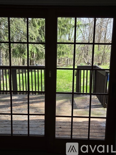 A view from inside a house looking out through a window at a deck and trees.