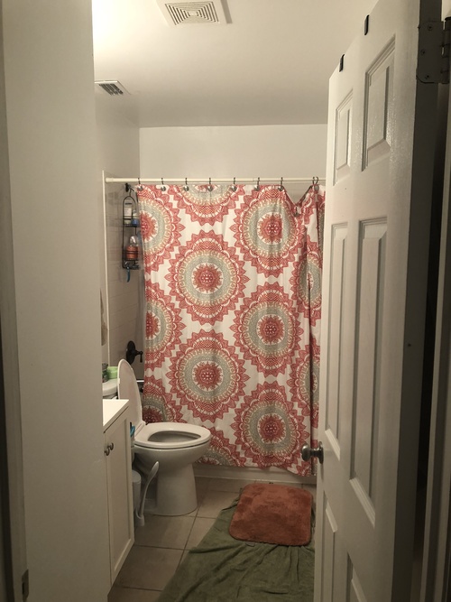 A small bathroom with a toilet, a shower curtain, and a rug.