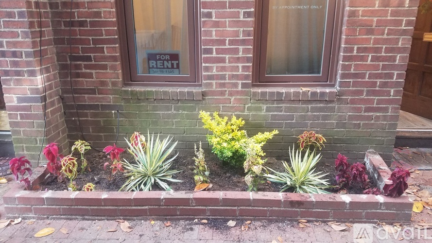 Source URL: https://prod-avail.s3.amazonaws.com/public_images/34894834/listing/Flower_bed.jpg
