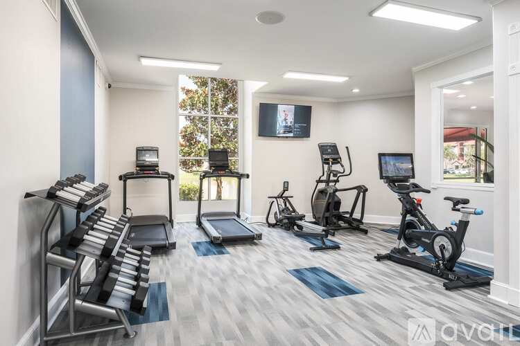 A gym with a variety of equipment including treadmills, stationary bikes, and weight machines.