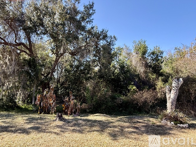 A grassy field with trees and shrubs under a clear blue sky.
