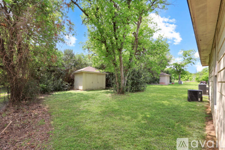A backyard with a shed and trees.