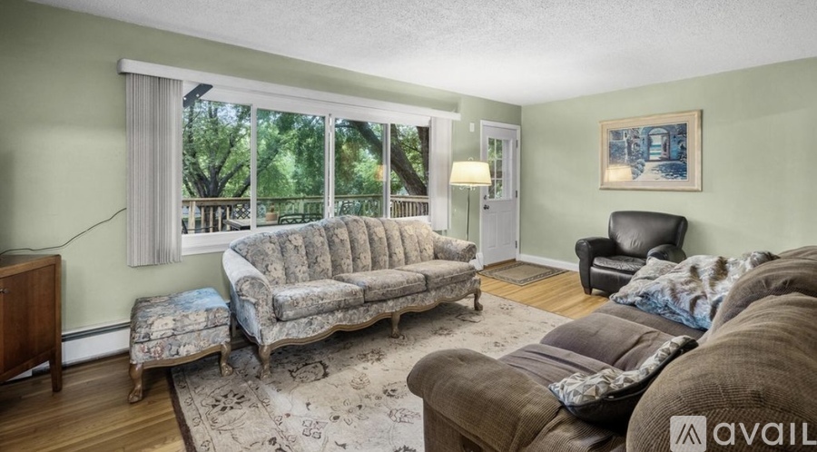 A living room with a couch, chair, and rug.