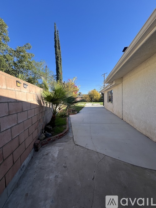 A concrete pathway leads between two houses with a tall cactus in the background.