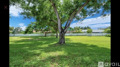 A tree in a grassy area with a fence in the background.