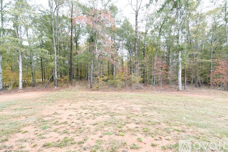 A field with trees in the background.