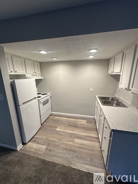 A kitchen with a white refrigerator and a sink.