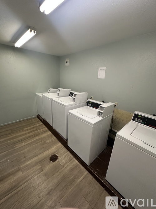 A row of washing machines in a laundromat.