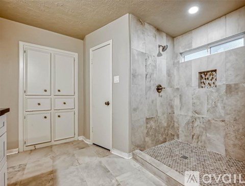 A bathroom with a walk-in shower and a vanity with a cabinet and drawers.
