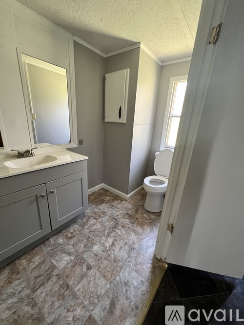 A bathroom with a toilet, sink, and mirror.