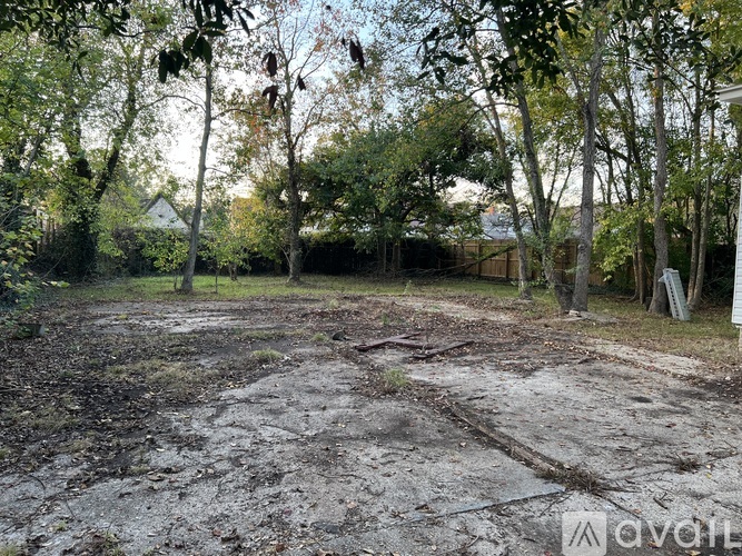 A backyard with a dirt ground and trees.
