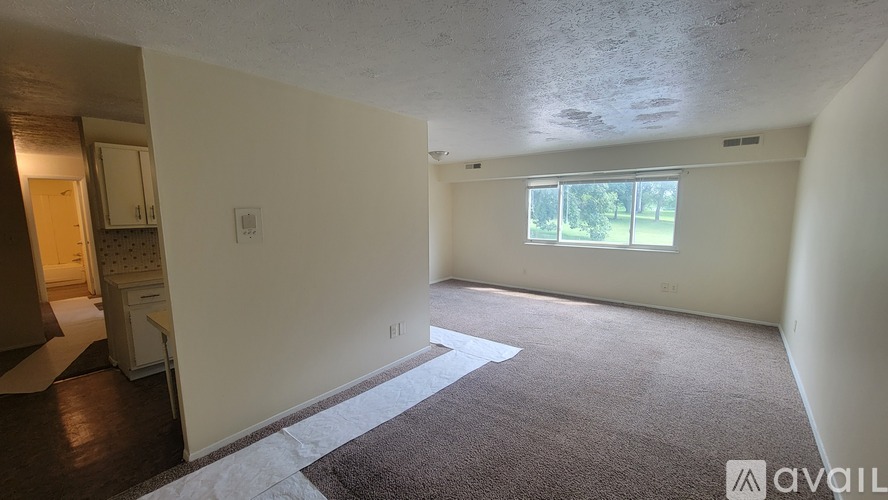 A room with a carpet, a window, and a door.