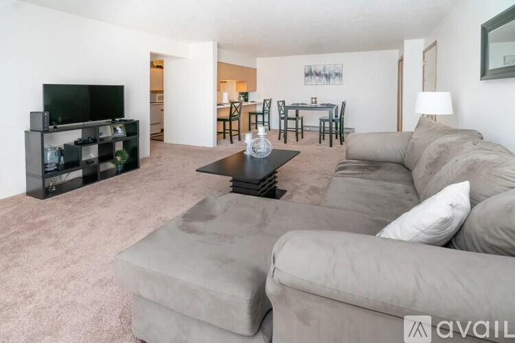 A living room with a grey couch and a black television.