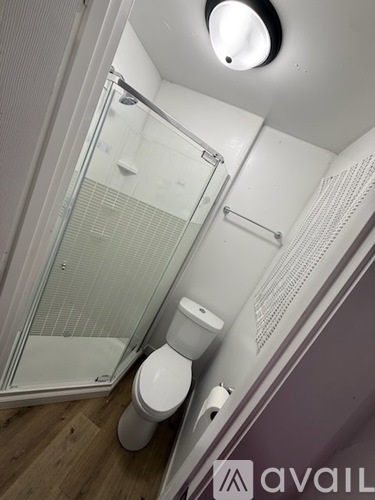 A white toilet sits next to a walk-in shower.