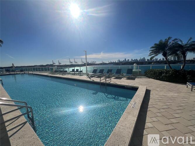 A sunny day at the pool with palm trees in the background.