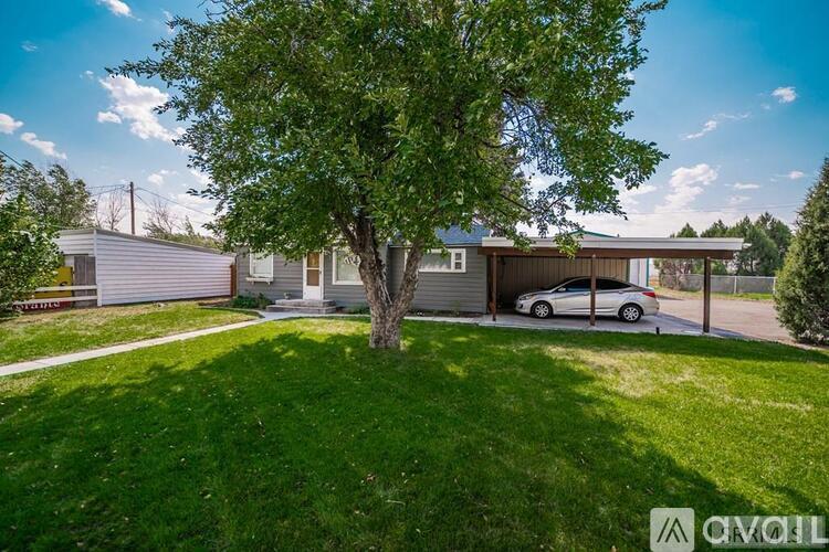 A house with a tree in front and a car parked in the driveway.