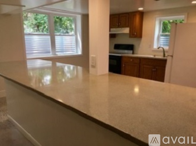 A kitchen with a countertop and a window with blinds.