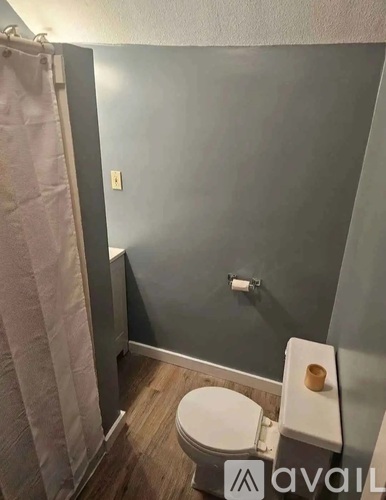 A bathroom with a toilet and a shower curtain.