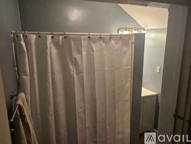 A bathroom with a shower curtain and a towel hanging on the rack.