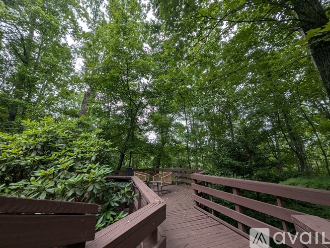 A wooden walkway leads through a lush green forest.