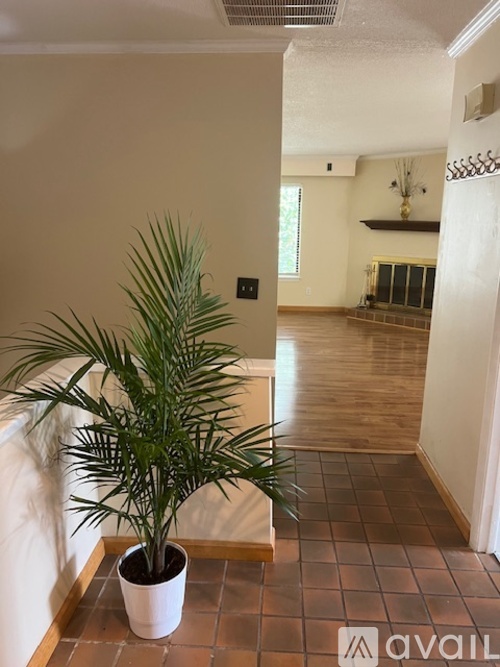 A plant in a white pot sits on a tiled floor.