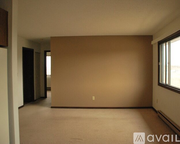 A large empty room with a carpeted floor and a window on the right side.