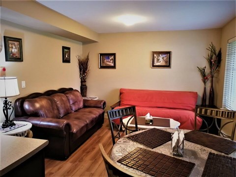 A living room with a brown leather couch and a red couch.